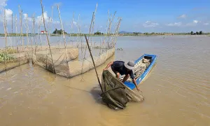 Bão Yagi khiến nước sông Mekong dâng cao, miền Tây nguy cơ ngập