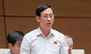'Không để doanh nghiệp bất động sản trục lợi chính sách khi được bù trừ lỗ' 'Không để doanh nghiệp bất động sản trục lợi chính sách khi được bù trừ lỗ'
