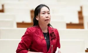 Đề xuất mở rộng bảo hiểm vàng, USD gửi tại ngân hàng
